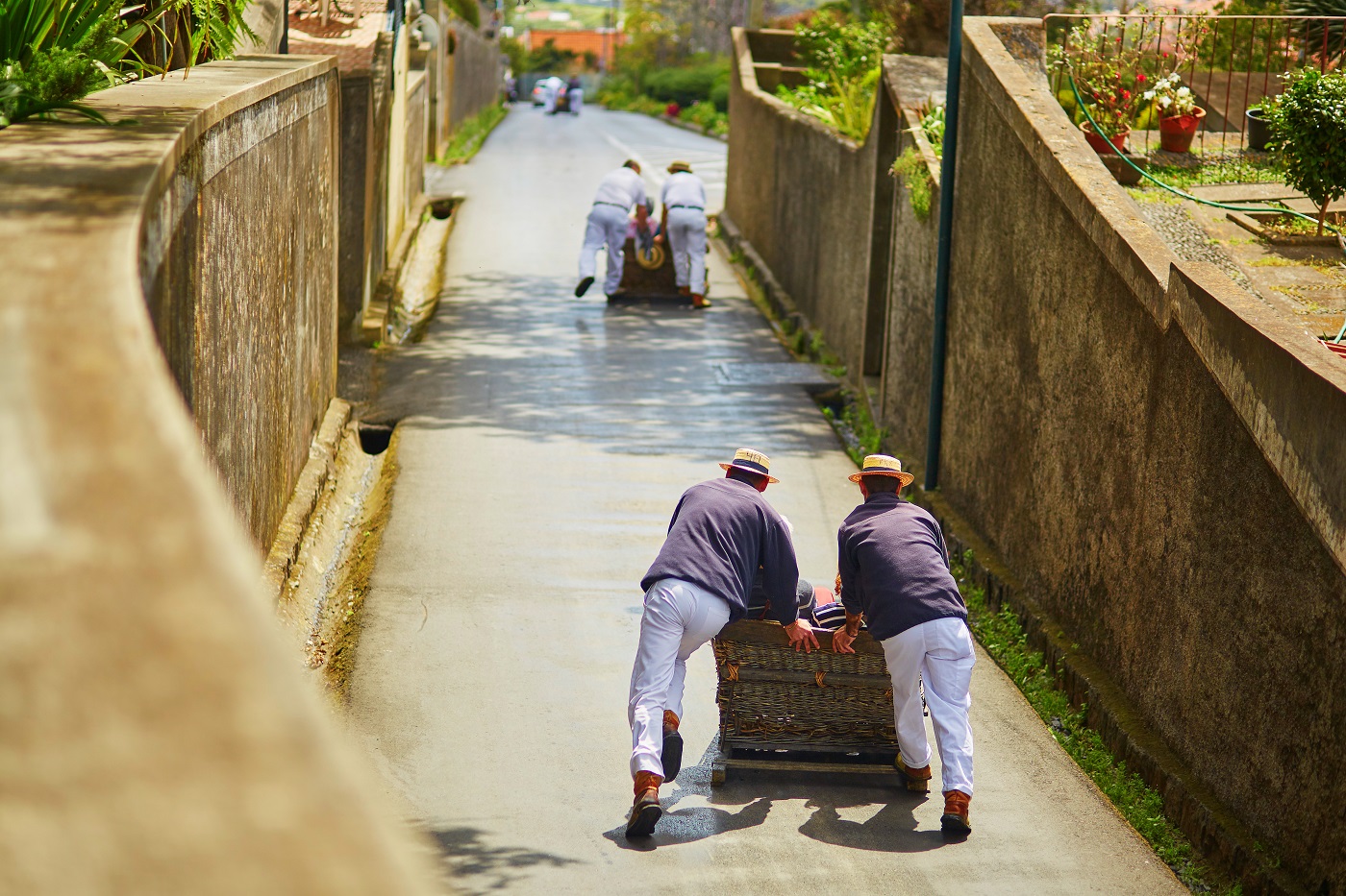 Toboggan Funchal Madeira